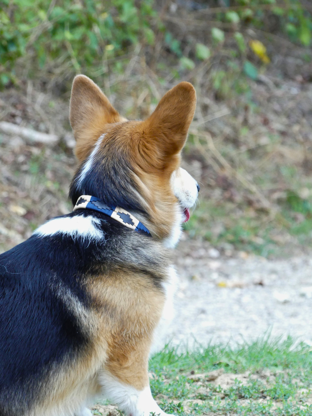 Collier Polo – Marine & Ocre