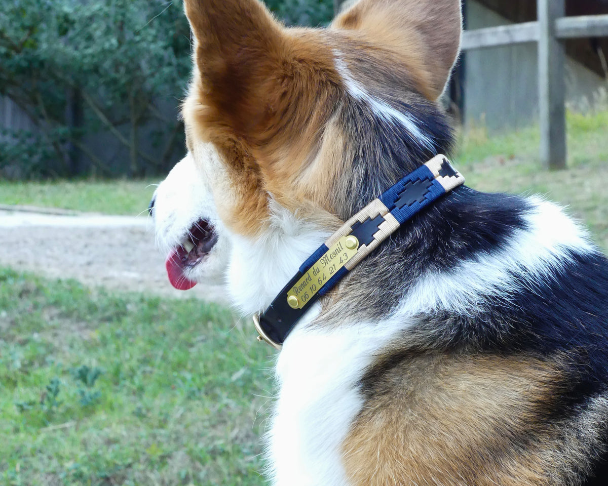 Collier Polo – Marine & Ocre
