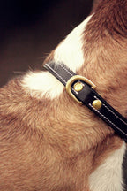 Collier Classic – Noir