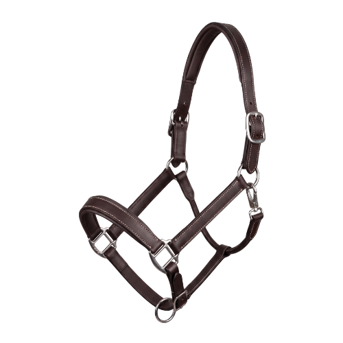 Licol Origine - Marron