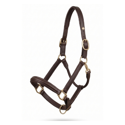 Licol Signature - Marron