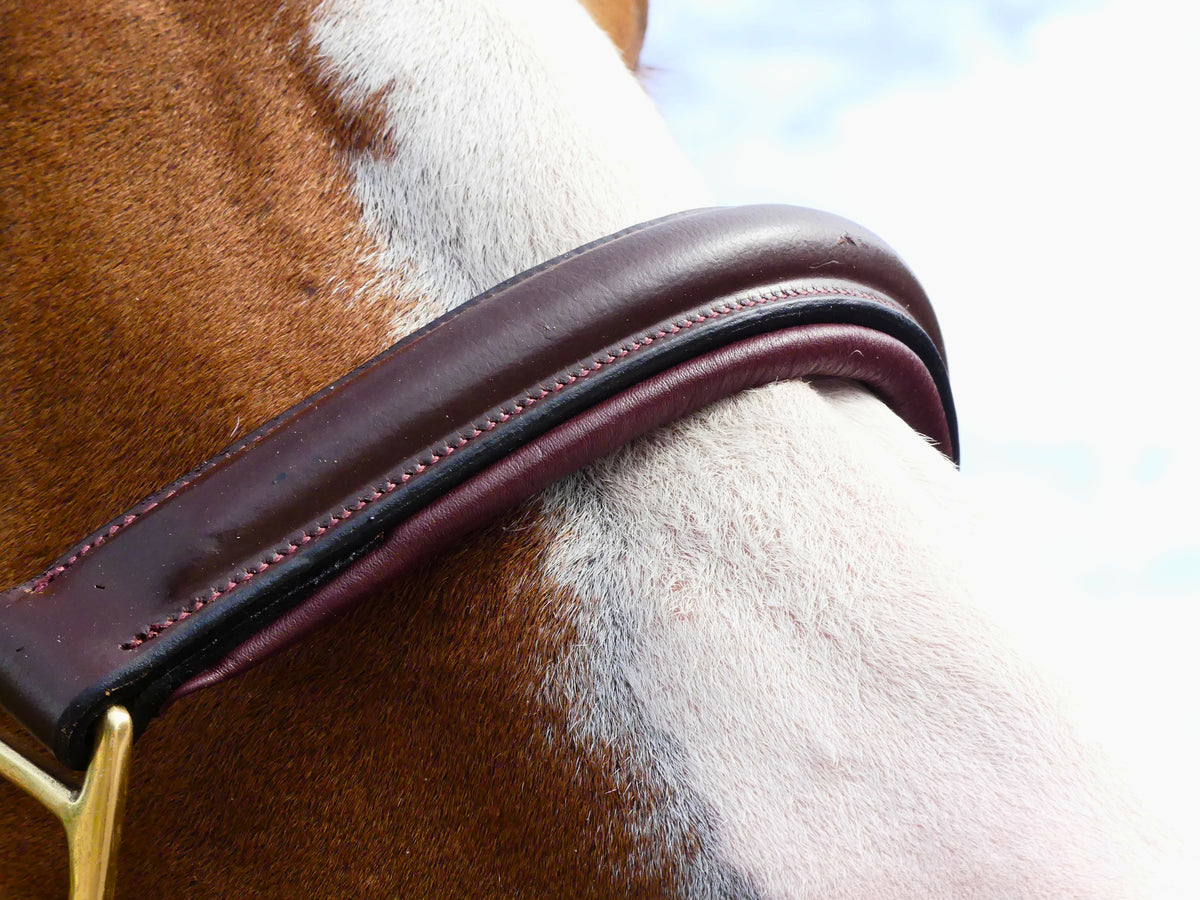 Licol Signature - Marron
