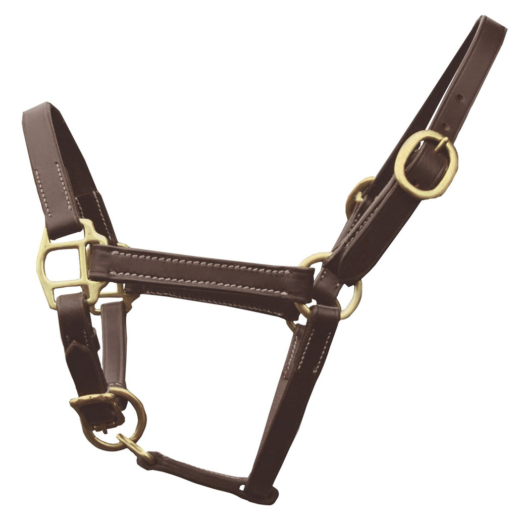 Licol Origine - Marron